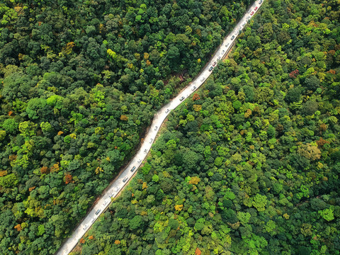 林间公路