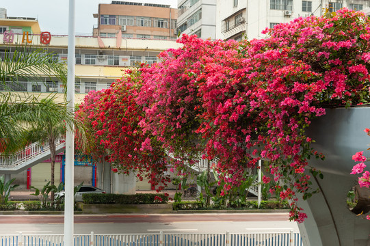 花样立交桥