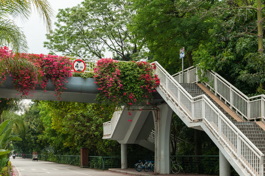 花样立交桥