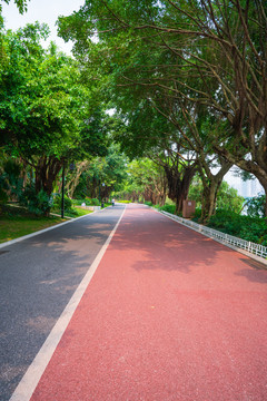 南宁南湖公园跑道林荫小路素材