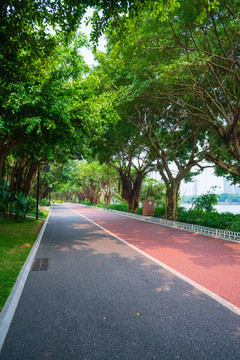 南宁南湖公园跑道林荫小路