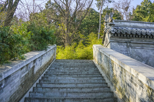 登山步道高清大图