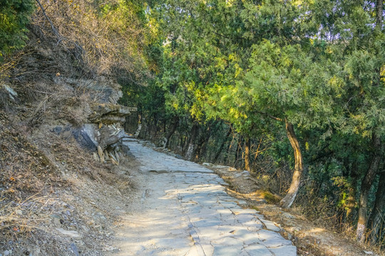 登山步道高清大图