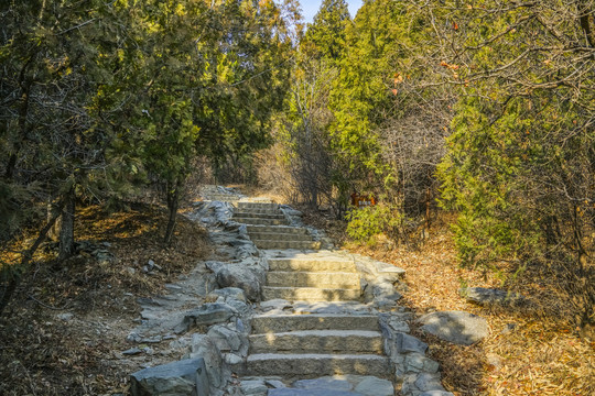 登山步道高清大图