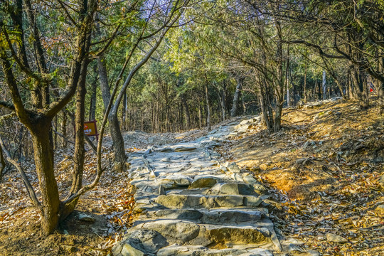 登山步道高清大图