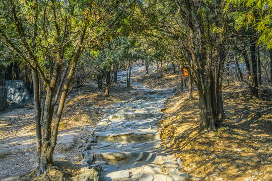 登山步道高清大图