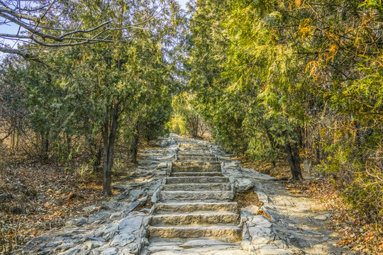 登山步道高清大图