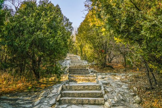 登山步道高清大图