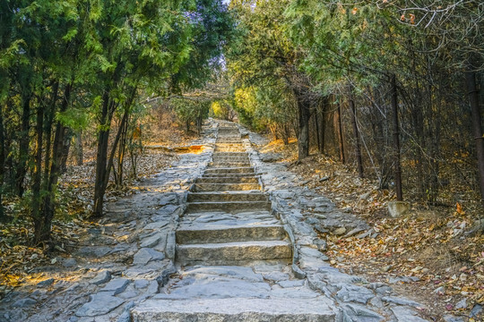 登山步道高清大图