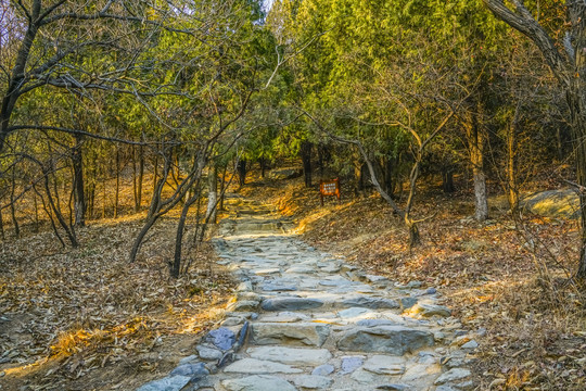 登山步道高清大图