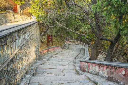 登山步道高清大图