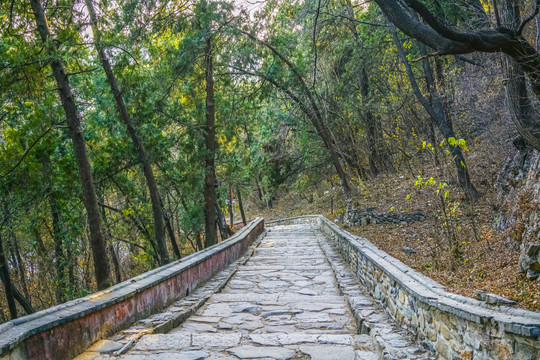 登山步道高清大图