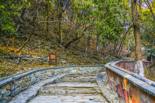 登山步道高清大图