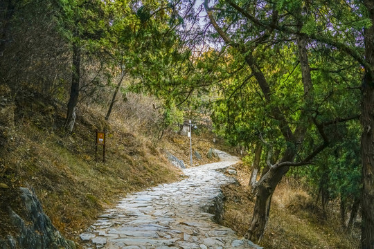 登山步道高清大图