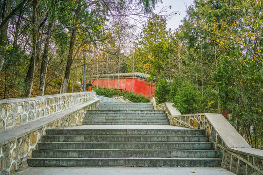 登山步道高清大图