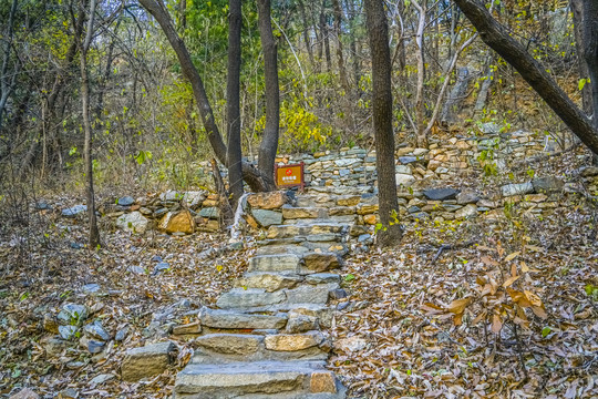 登山步道高清大图