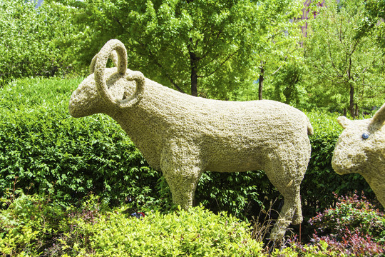 草丛一只带角的公绵羊造型