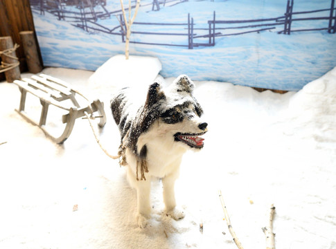 雪橇犬雕塑