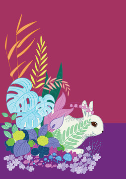 兔子插畫