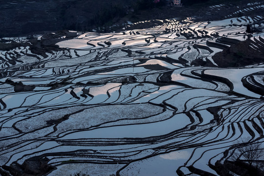 元阳梯田