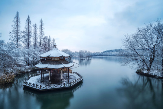 雪后黛色参天