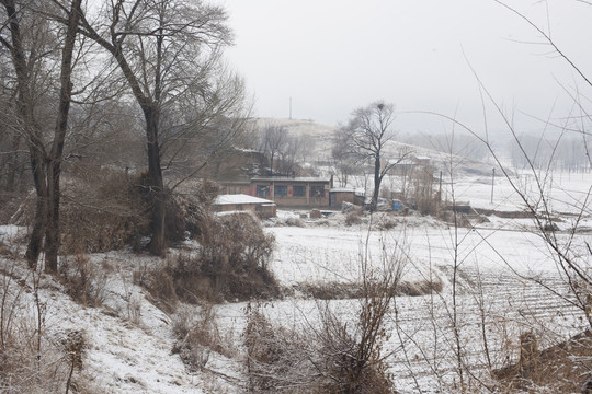 雪景