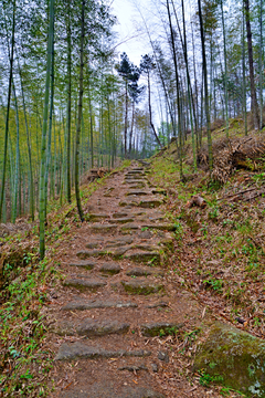 茶盐古道