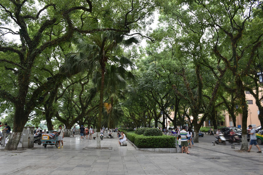 桂林风景