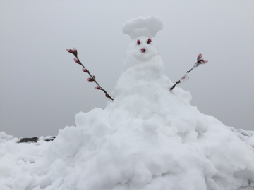 雪人