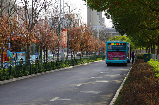 美丽滁州清流西路