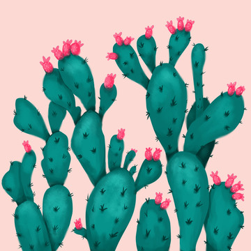 仙人掌