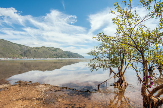 洱海风光