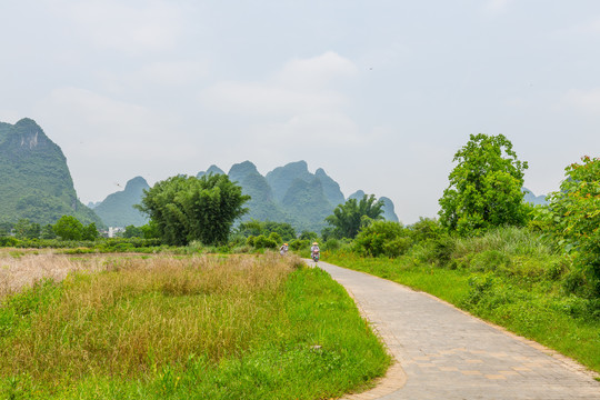 农村道路