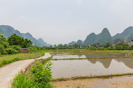 农村道路