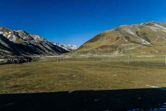 青藏高原牧场