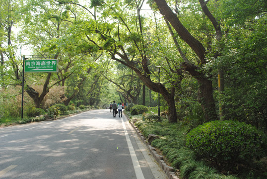 中山陵