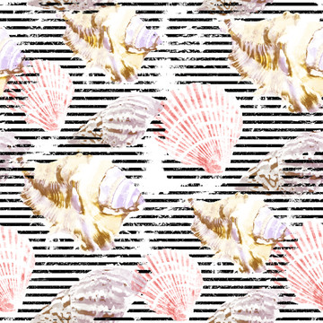 貝殼