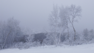 崇礼雪景