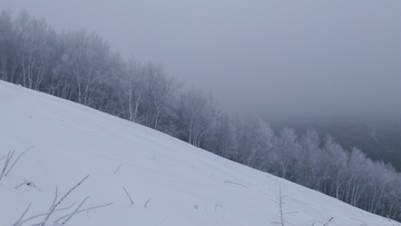 崇礼雪景