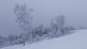 崇礼雪景