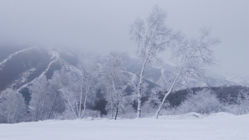 崇礼雪景