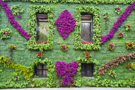 外墙绿化美化