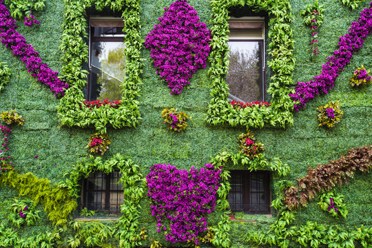 外墙绿化美化