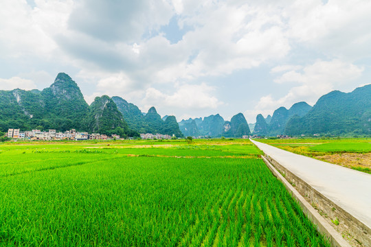 青山绿水