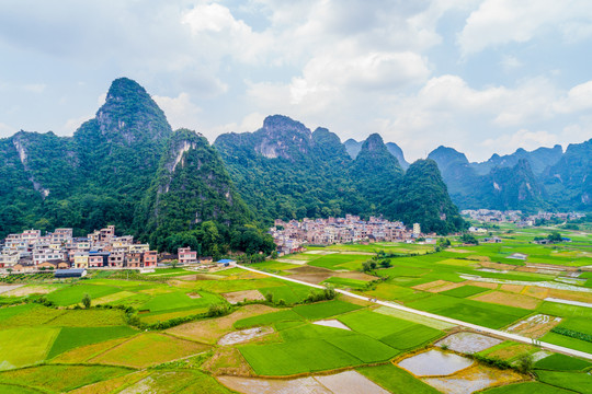 青山绿水