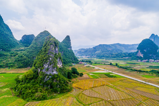 青山绿水