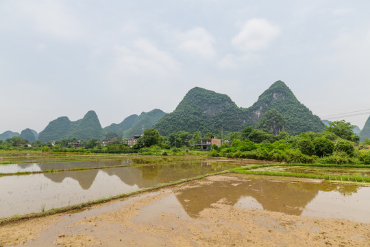 风景