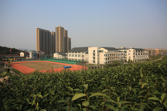 小学校园建筑