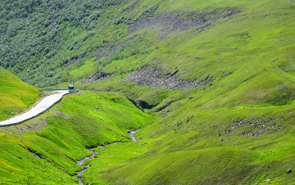 绿油油山坡上的公路