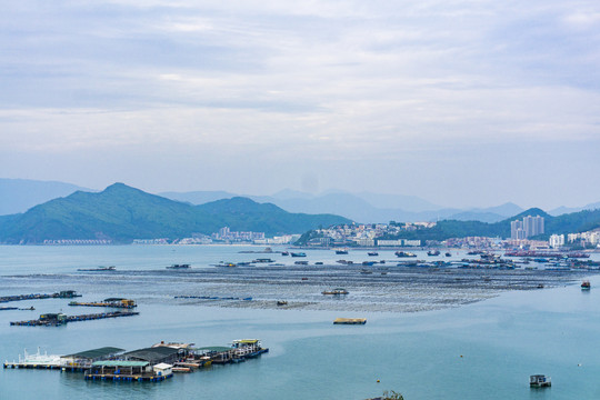 海洋海产鱼排养殖